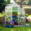 Harmony Aluminium Frame 6ft x 4ft Silver Polycarbonate Greenhouse - Canopia by Palram