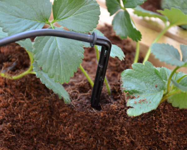 Canopia By Palram Greenhouses drip irrigation kit - Image 3