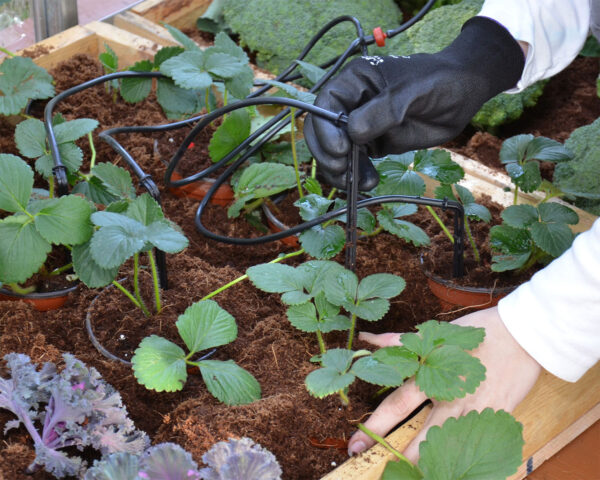 Canopia By Palram Greenhouses drip irrigation kit - Image 5